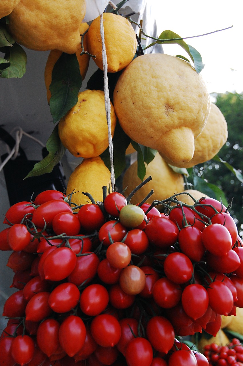 lemons lemon fruit free photo