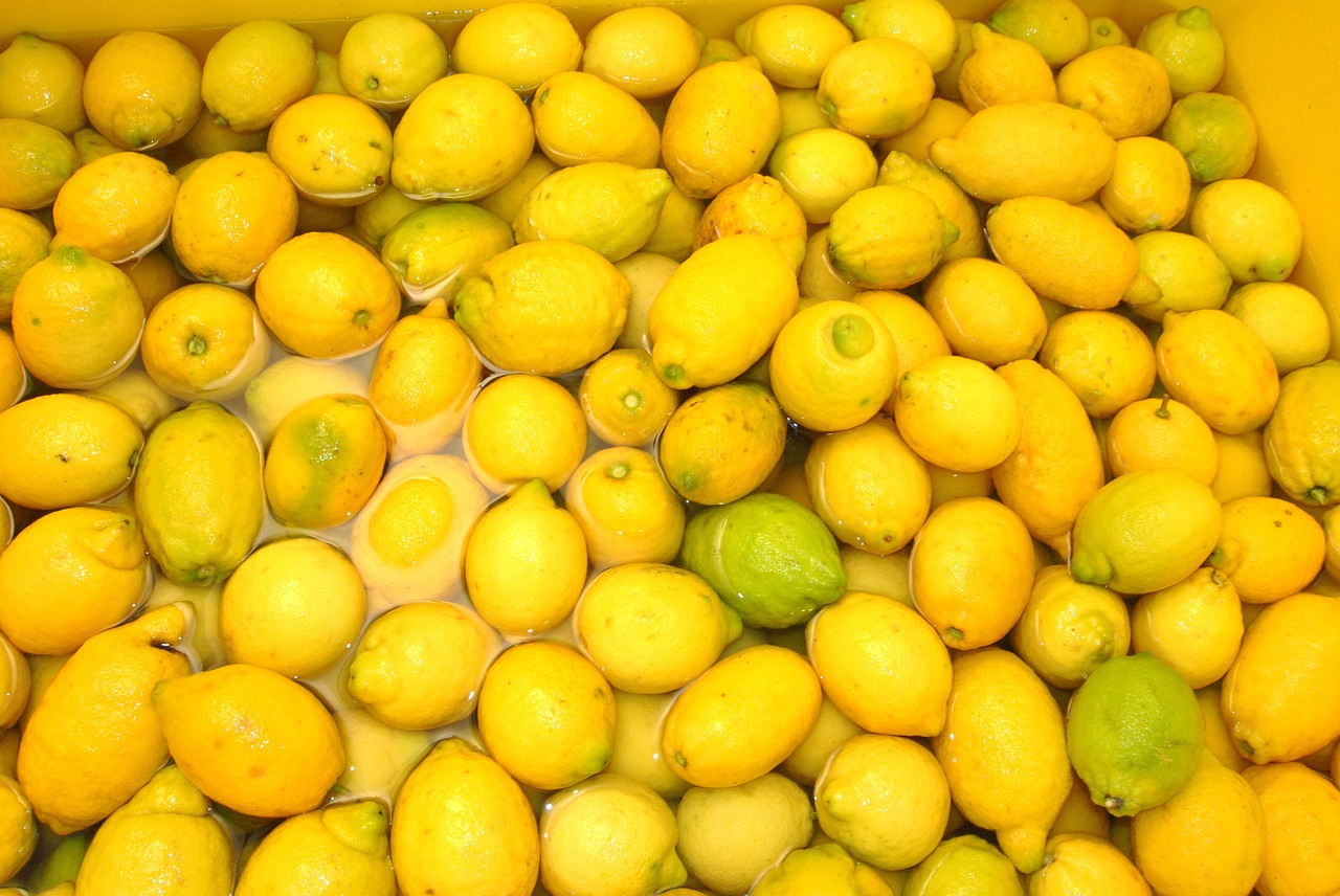 lemons sorrento italy free photo