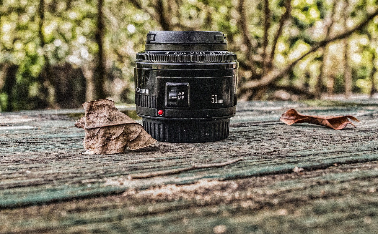 lens dry leaf table free photo