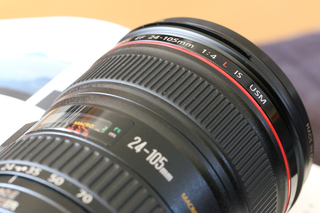 lens macro portrait free photo