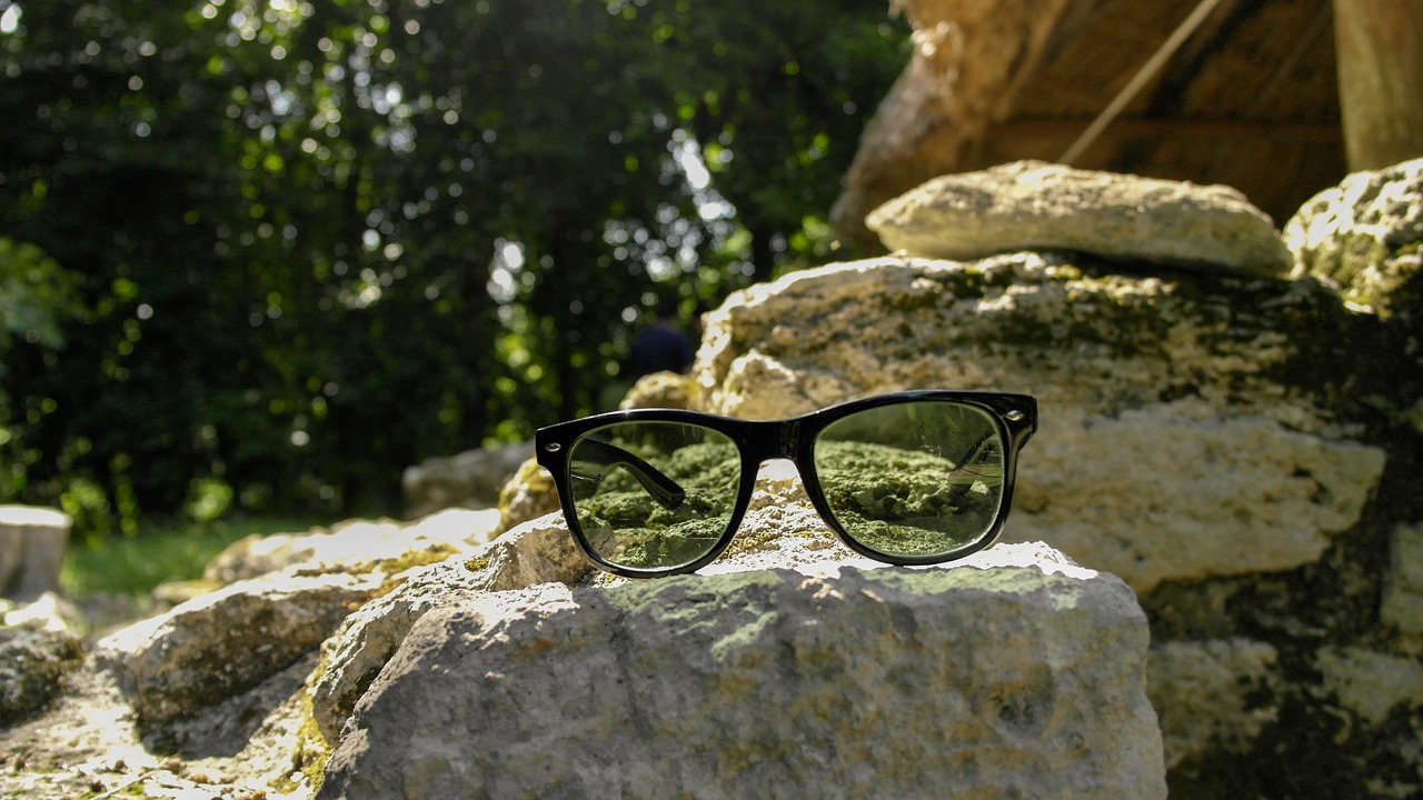lenses  sunglass  sunglasses free photo