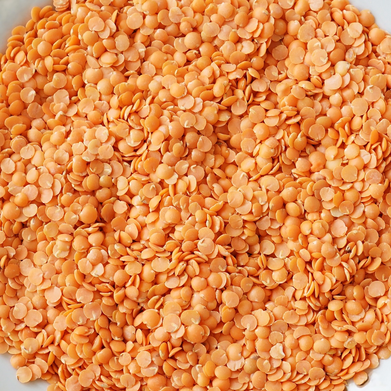 lentil grains food free photo