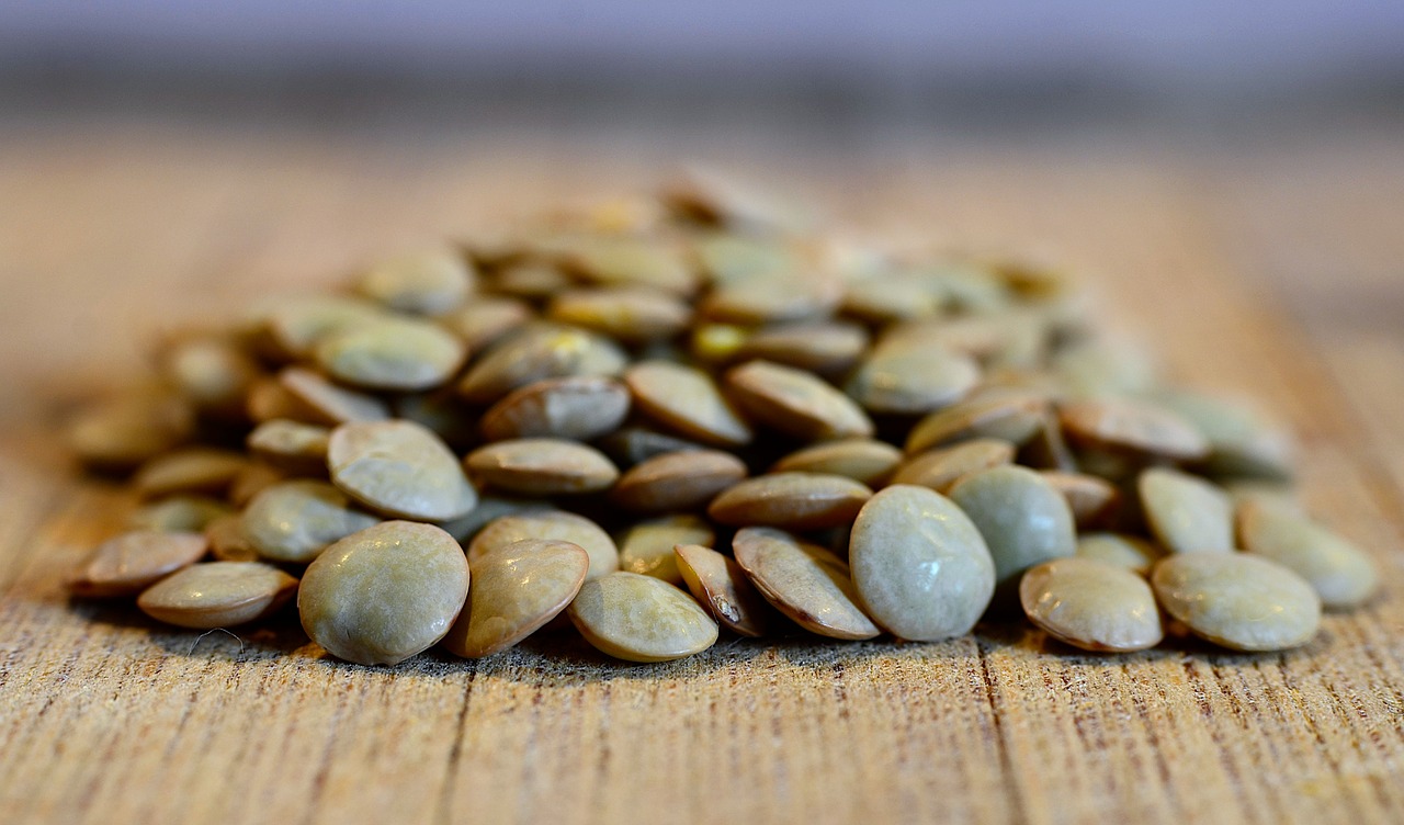 lentil  lentils green  cooking free photo