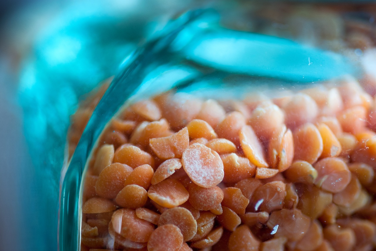 lentils blue reflection free photo