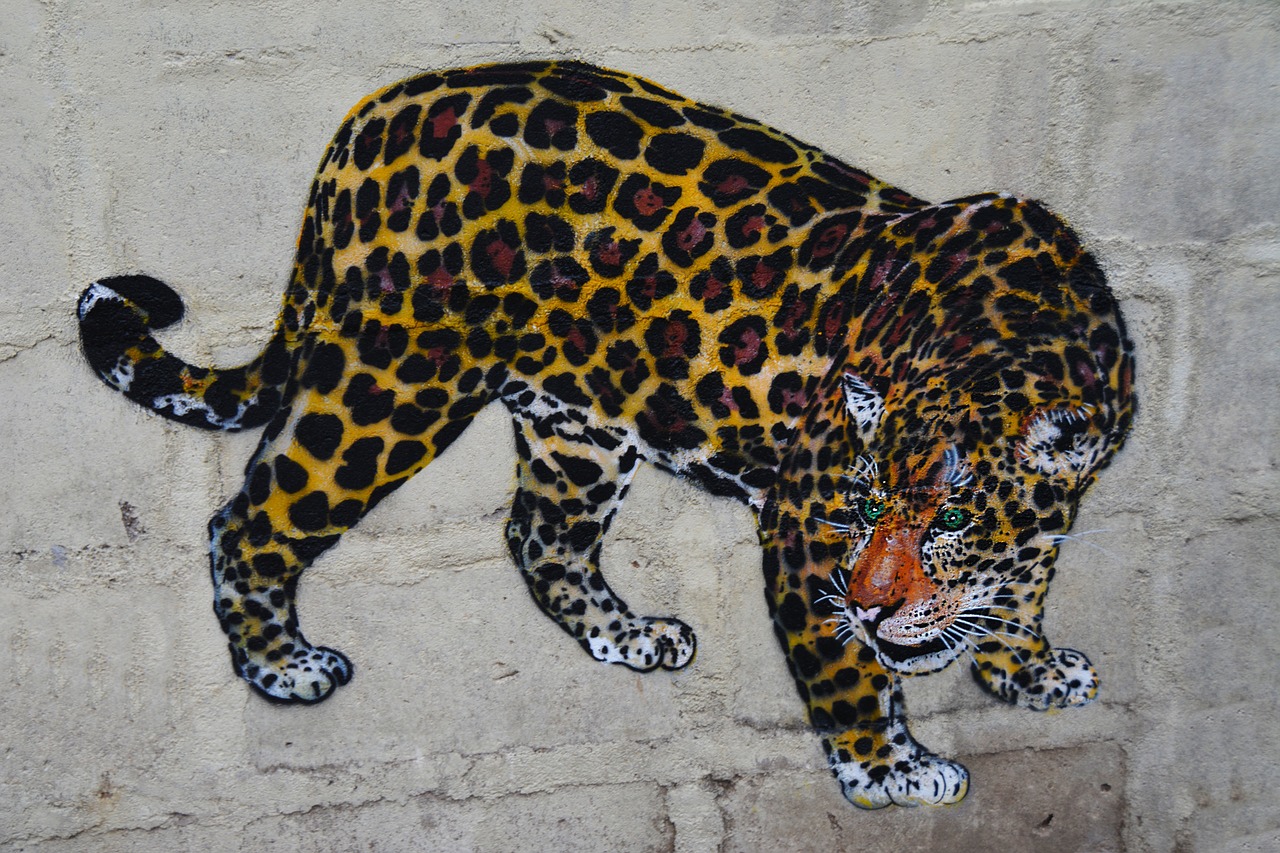 leopard wall art graffiti free photo