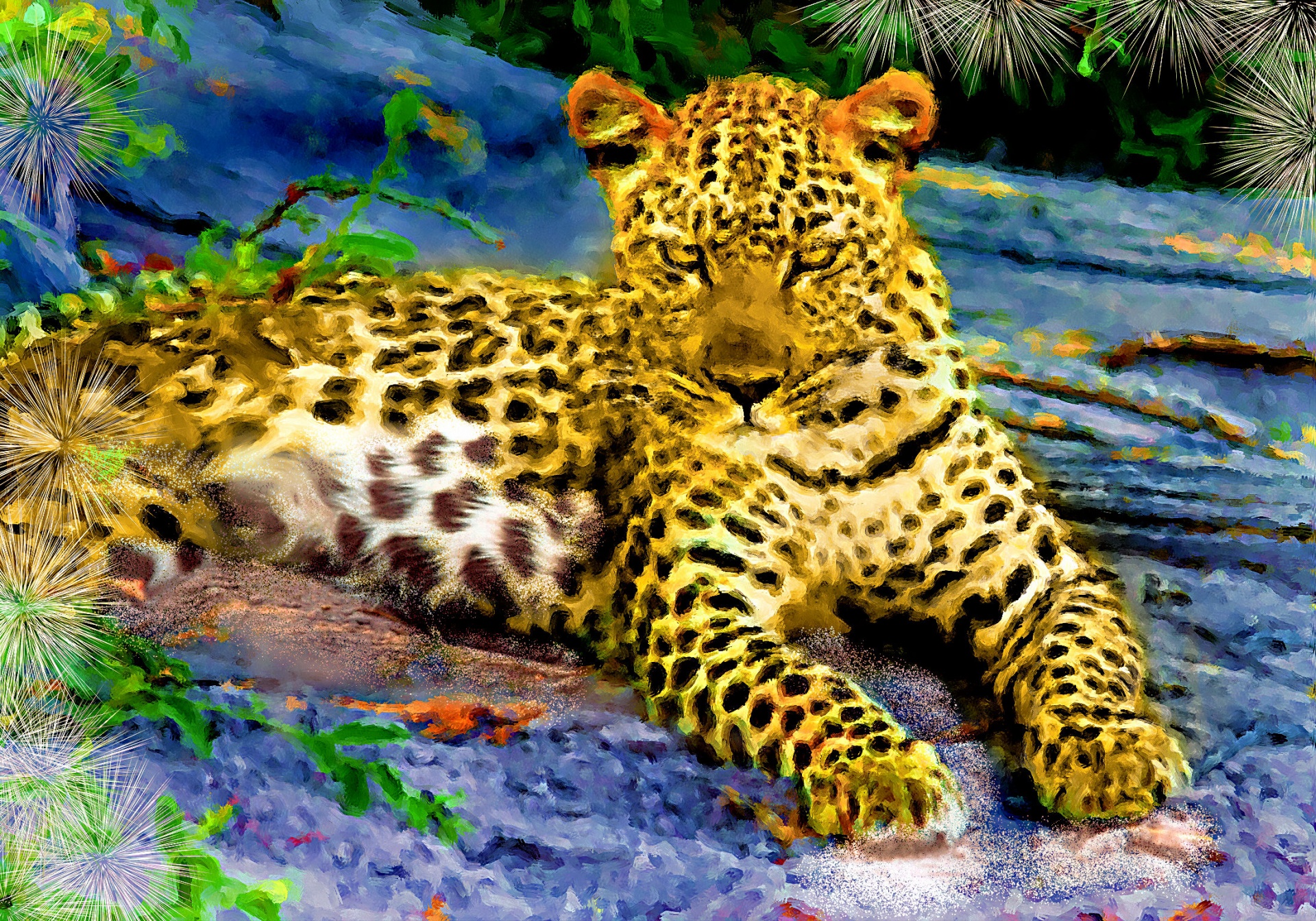 leopard cat big cat free photo