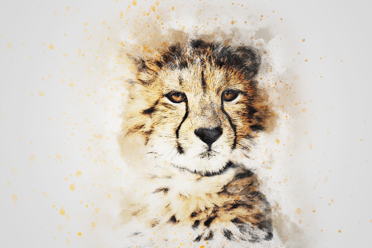 leopard animal art free photo