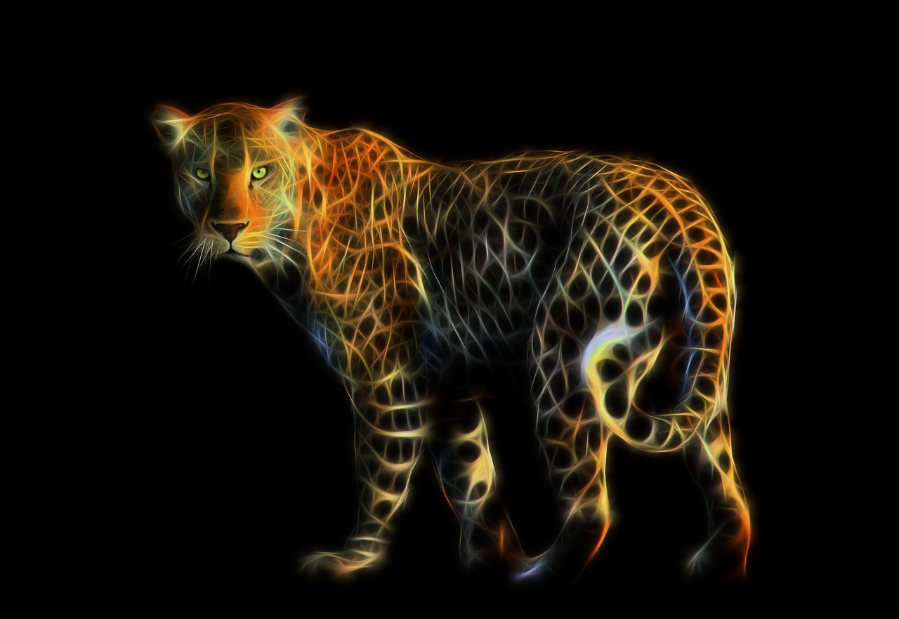 leopard  feline  predator free photo