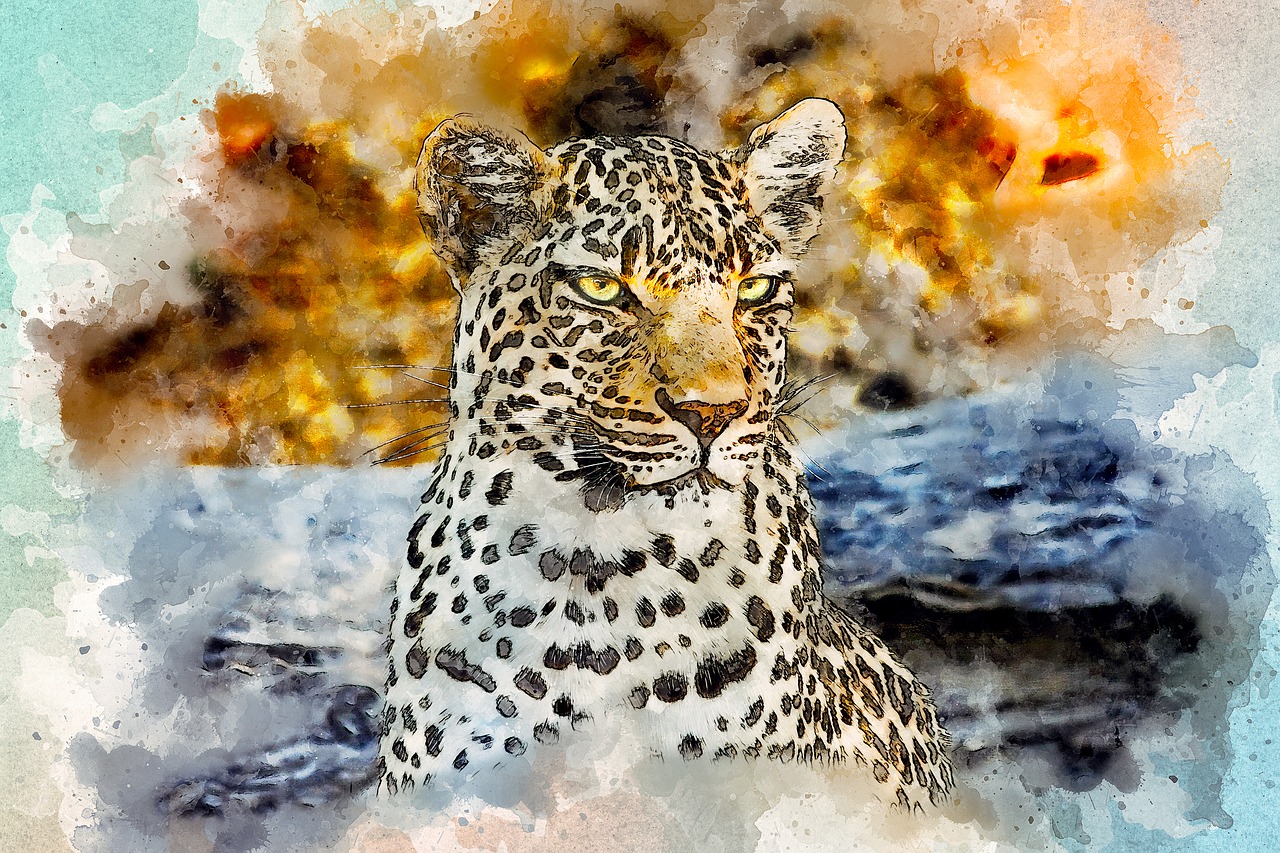 leopard  look  wild free photo