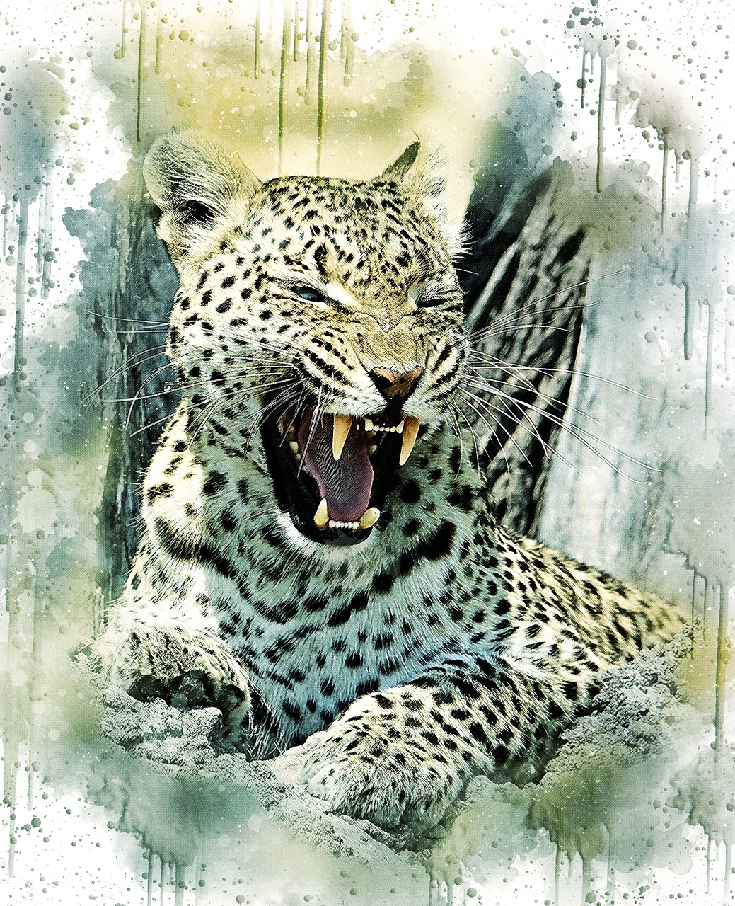 leopard  cat  wildlife free photo