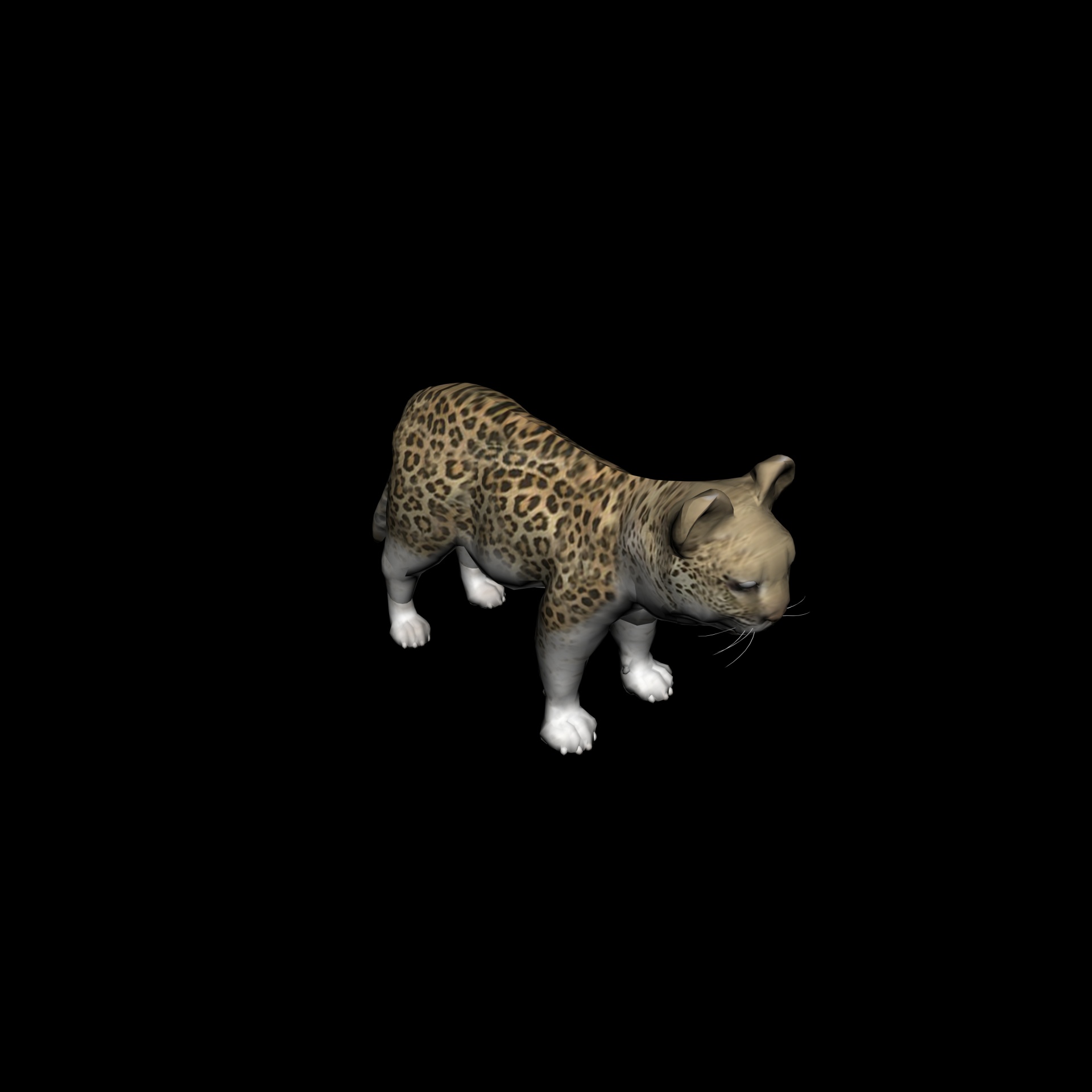 leopard cub baby free photo