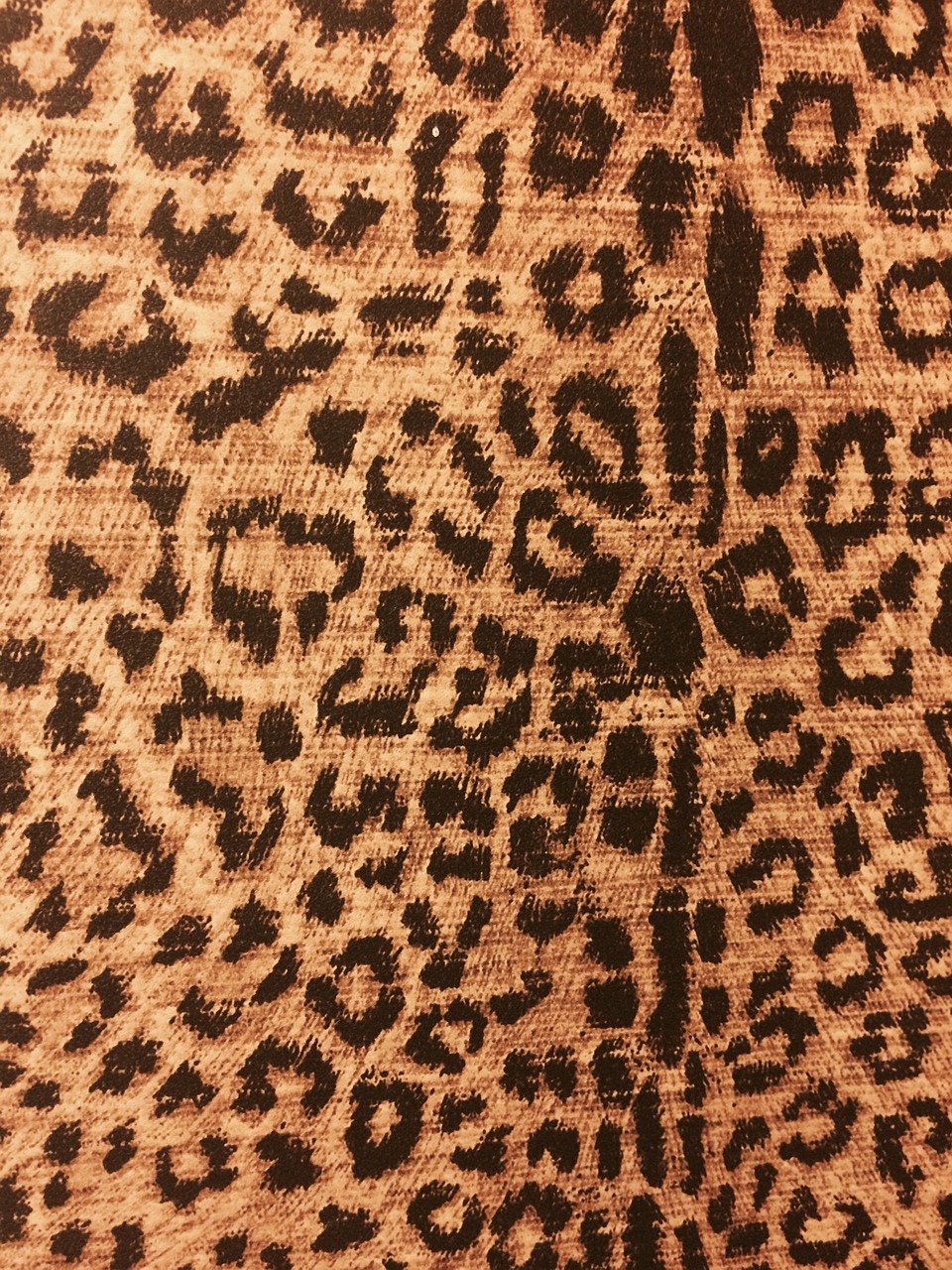 leopard print animal print backdrop free photo