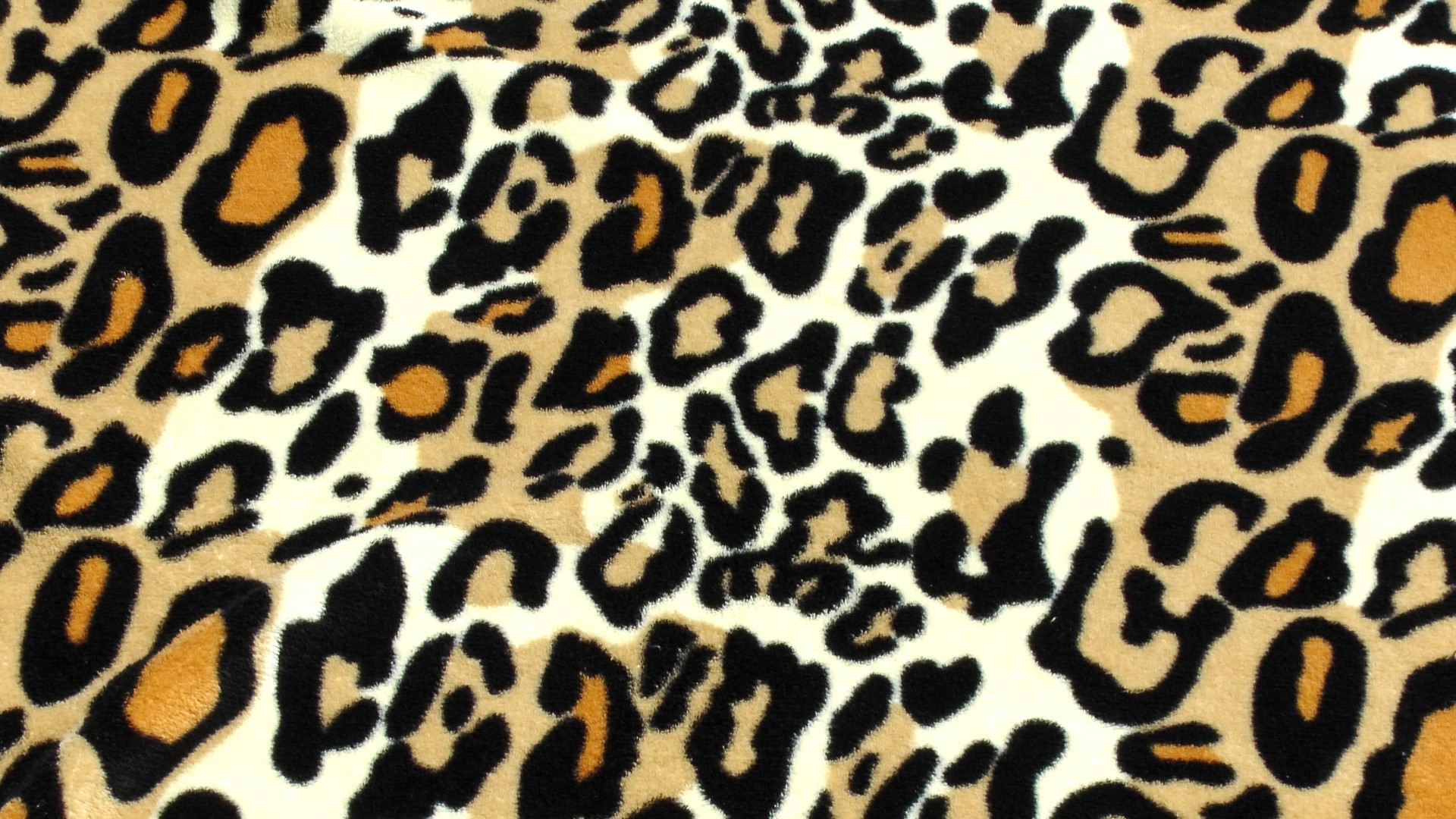 leopard skin leopardskin free photo