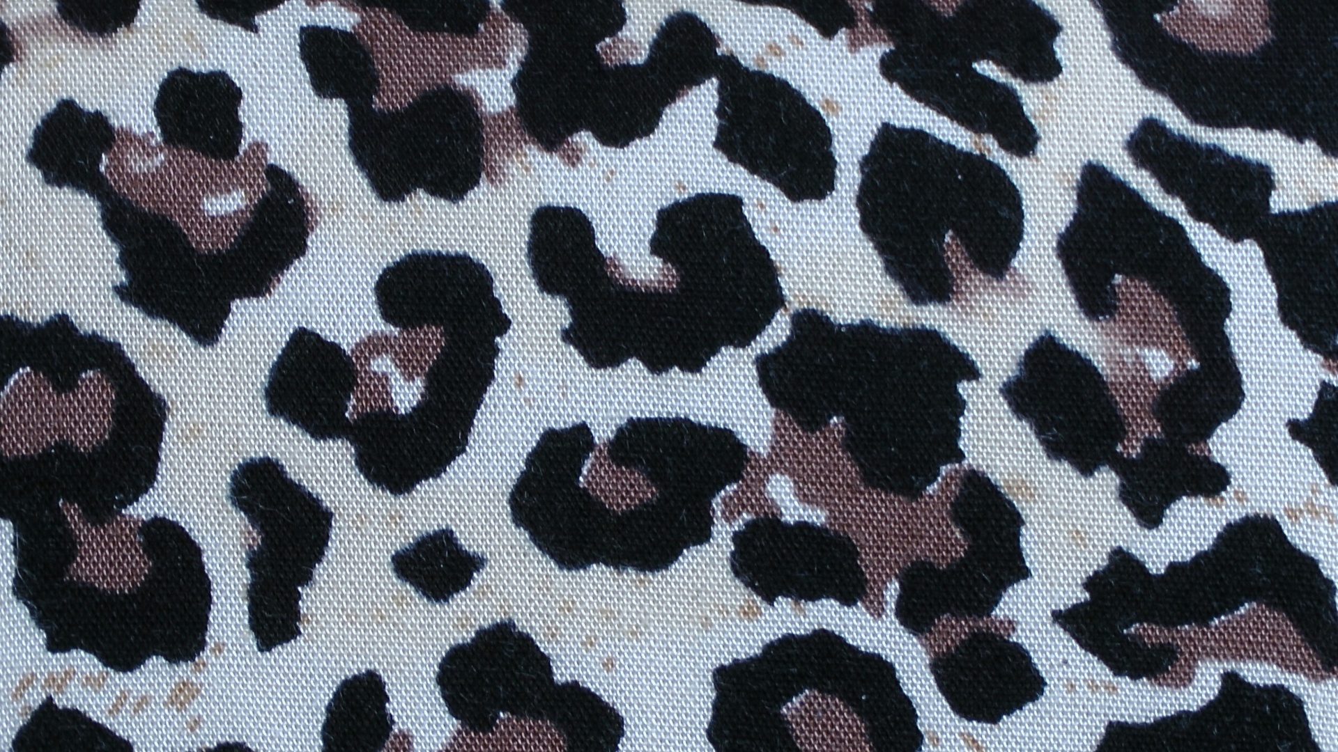 leopard skin fabric free photo