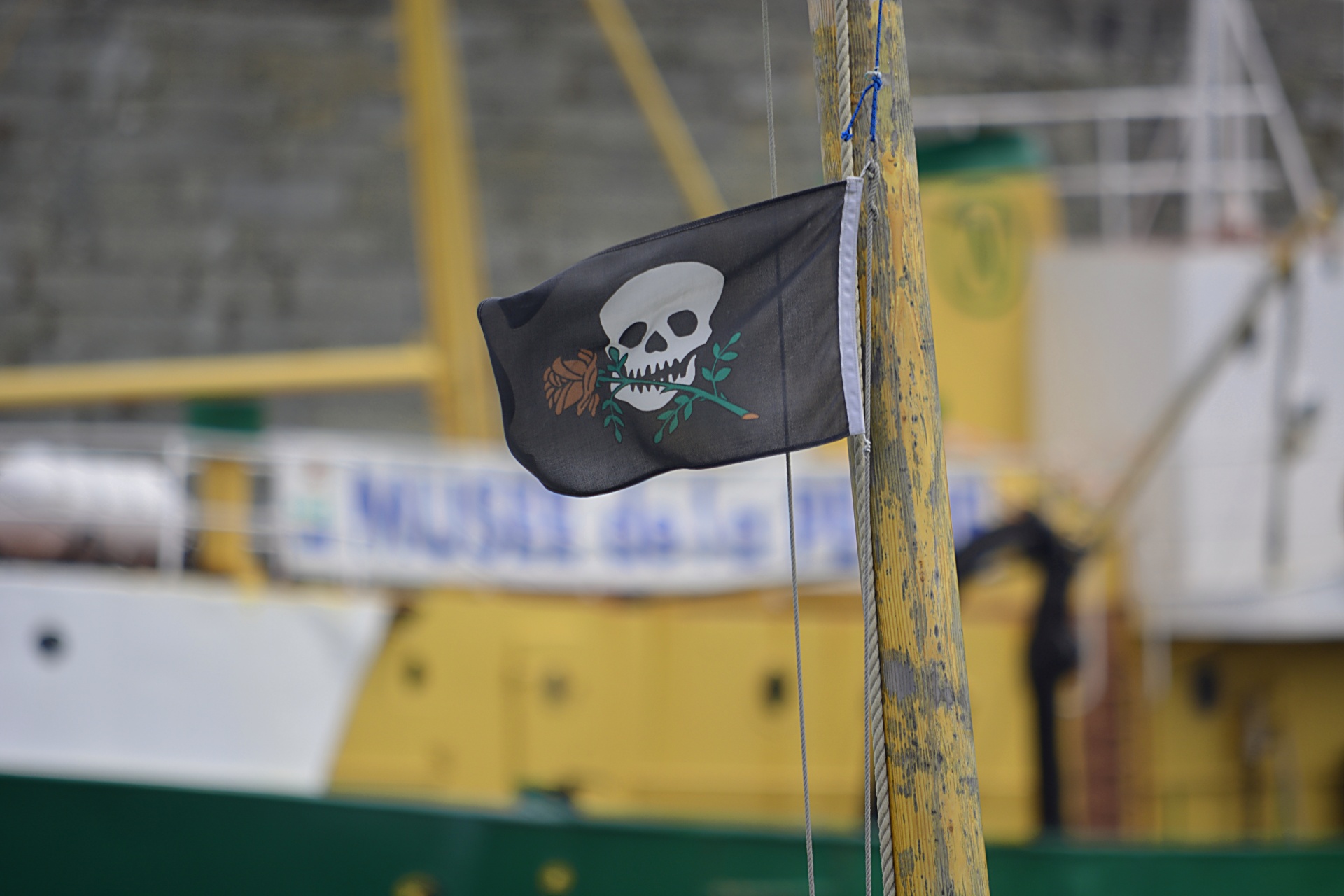 flags matte pirates free photo