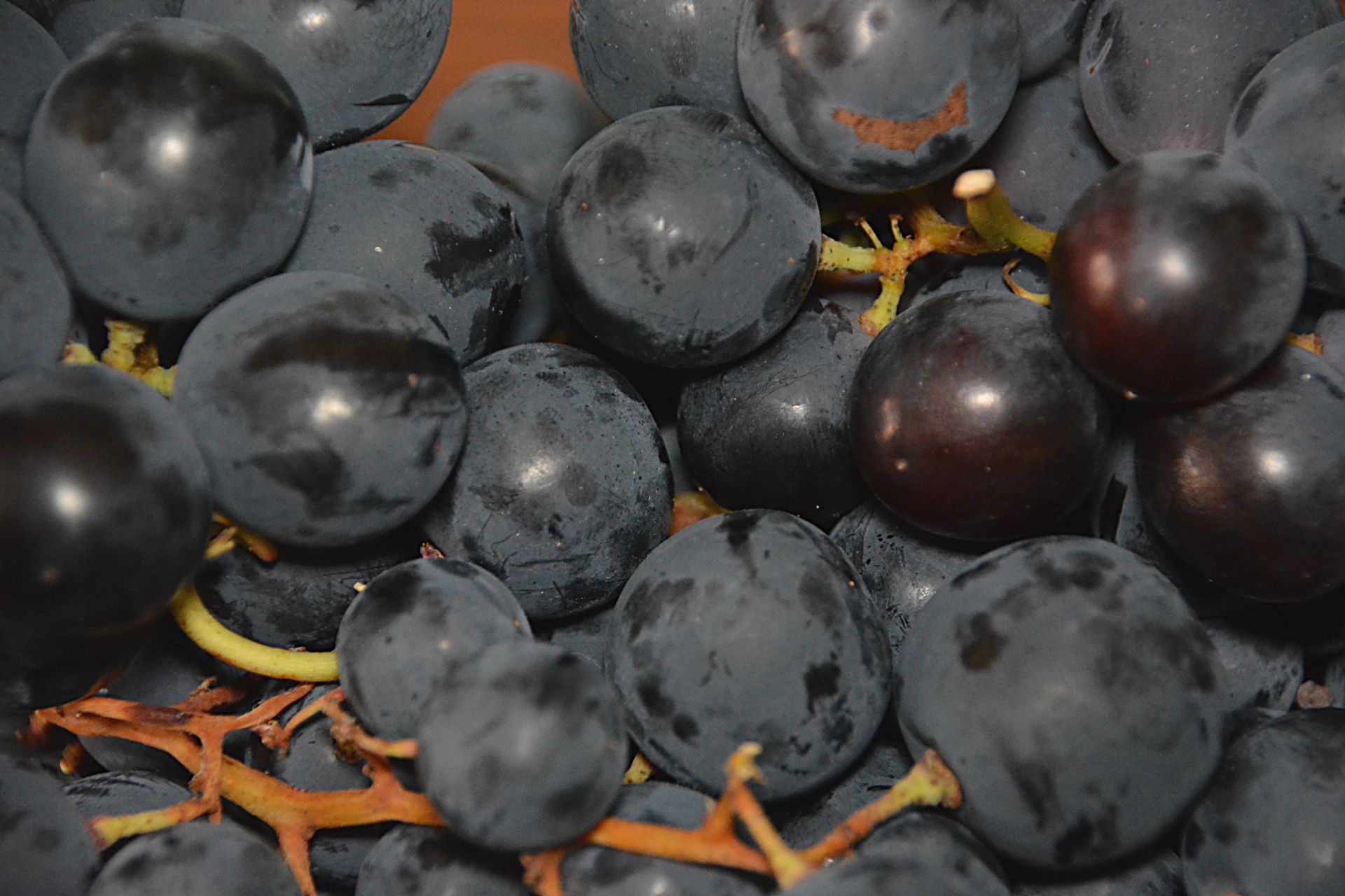 grapes fruit food free photo