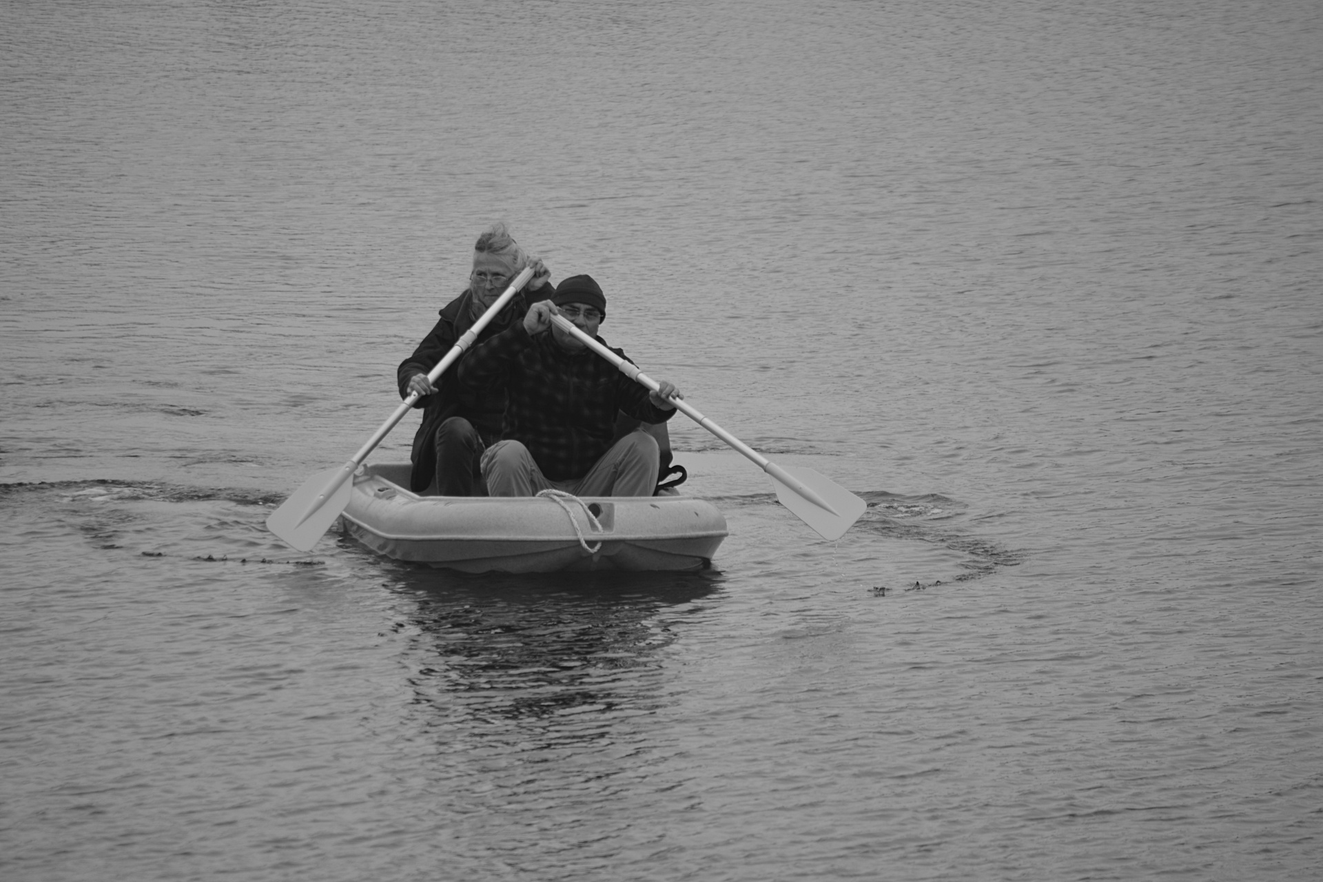 men rowers people free photo