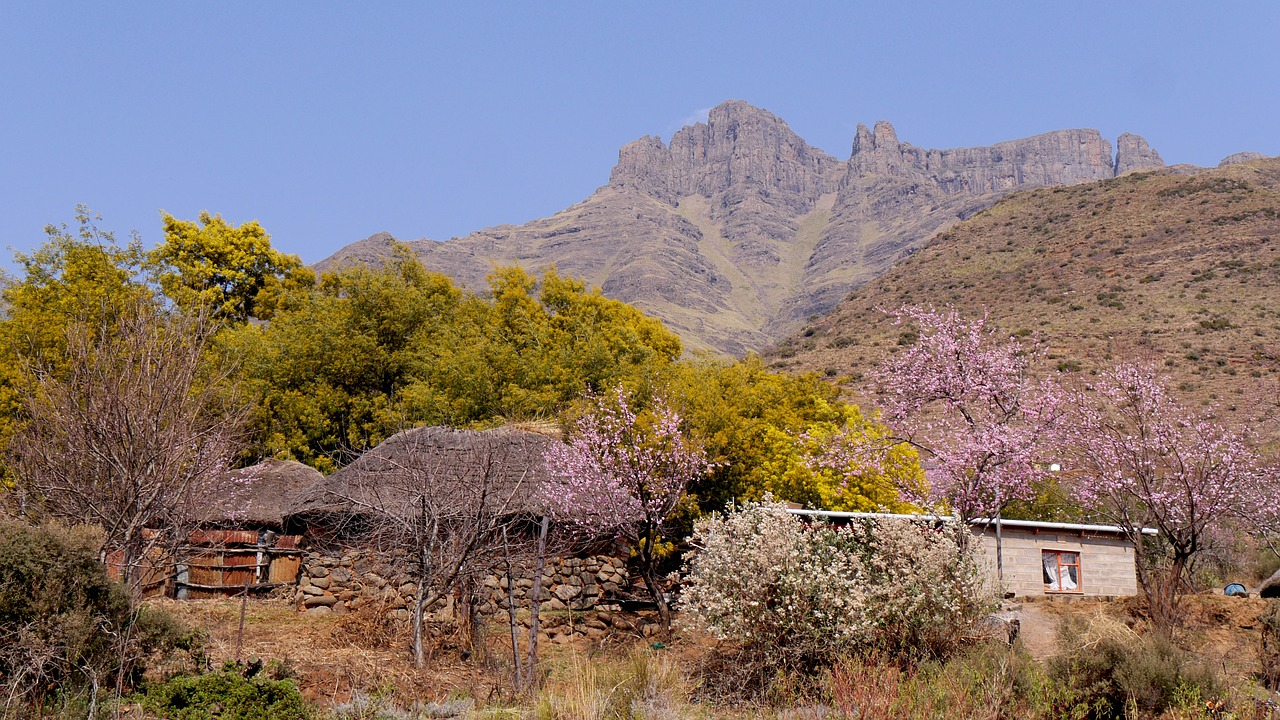 lesotho mountain landscape peach blossom free photo