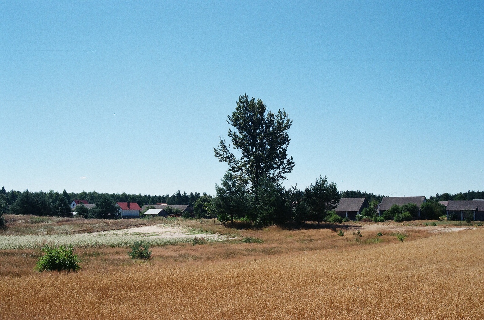 antonowka village district bilgoraj lublin province free photo