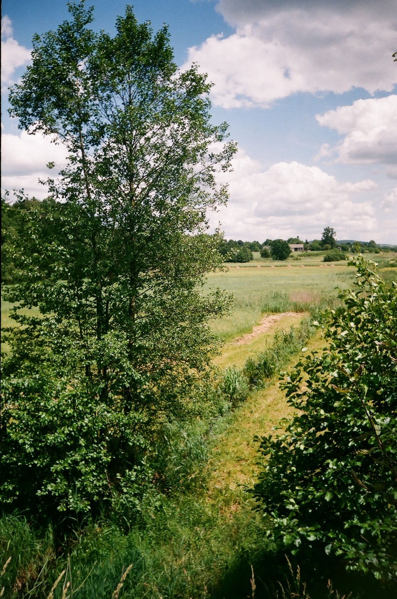 summer july lublin free photo