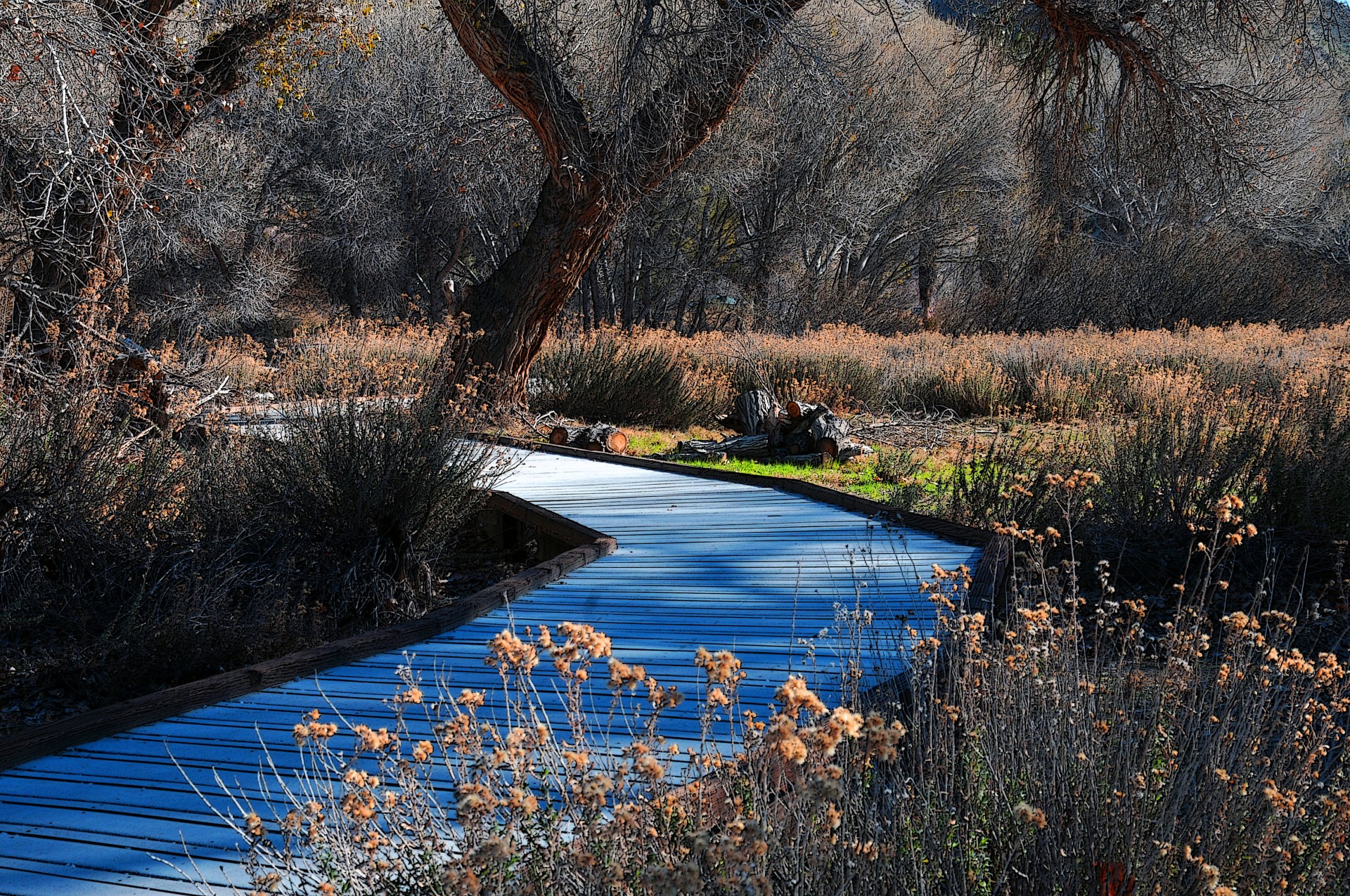 hike hiking walk free photo