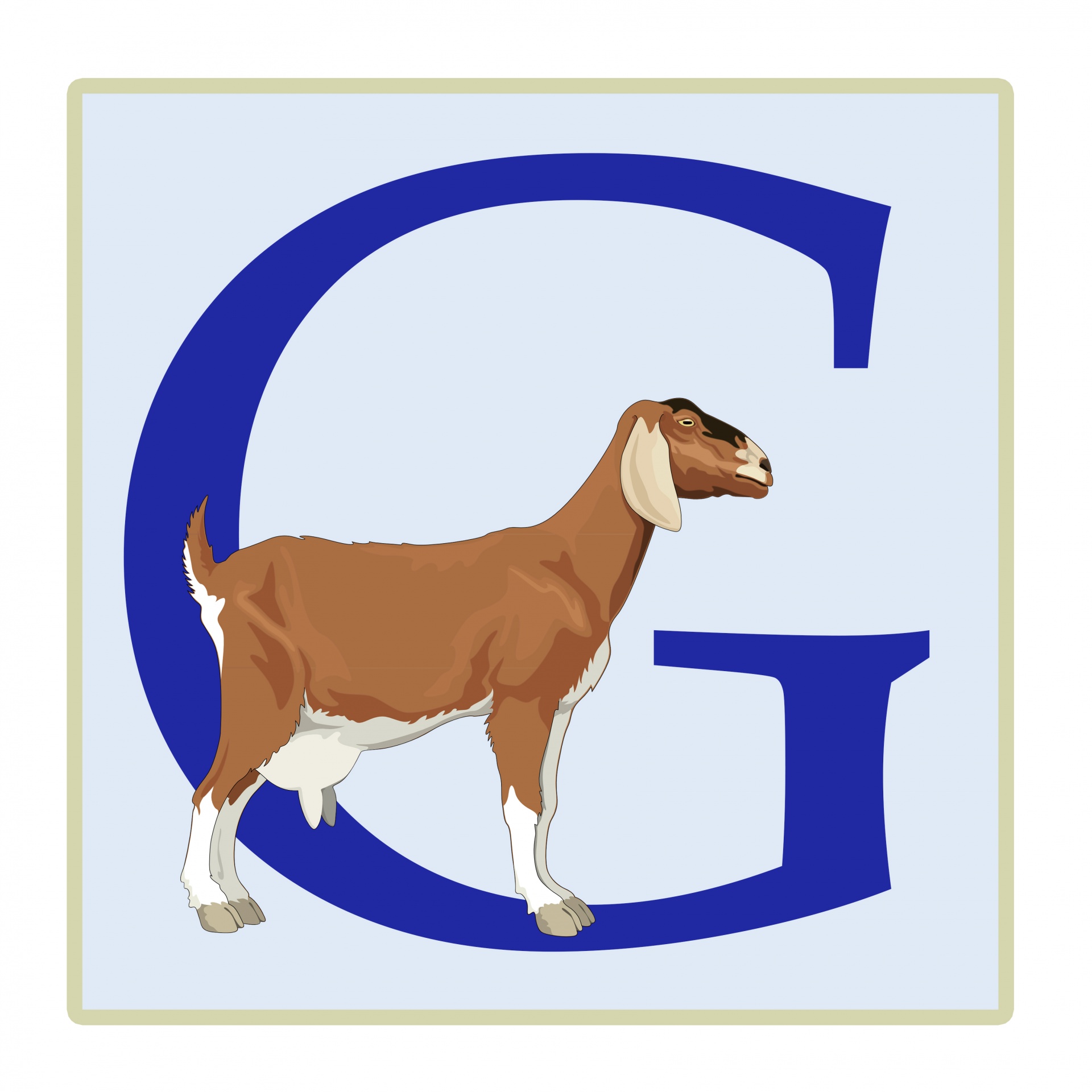 g letter goat free photo