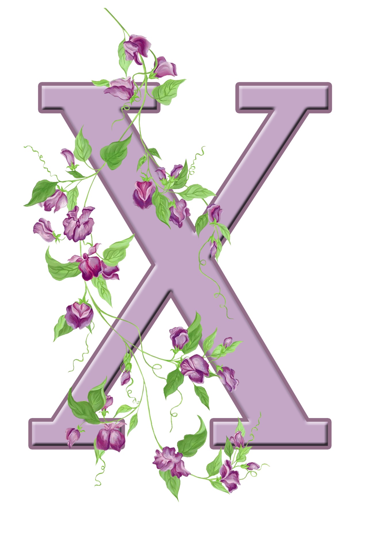 x letter monogram free photo