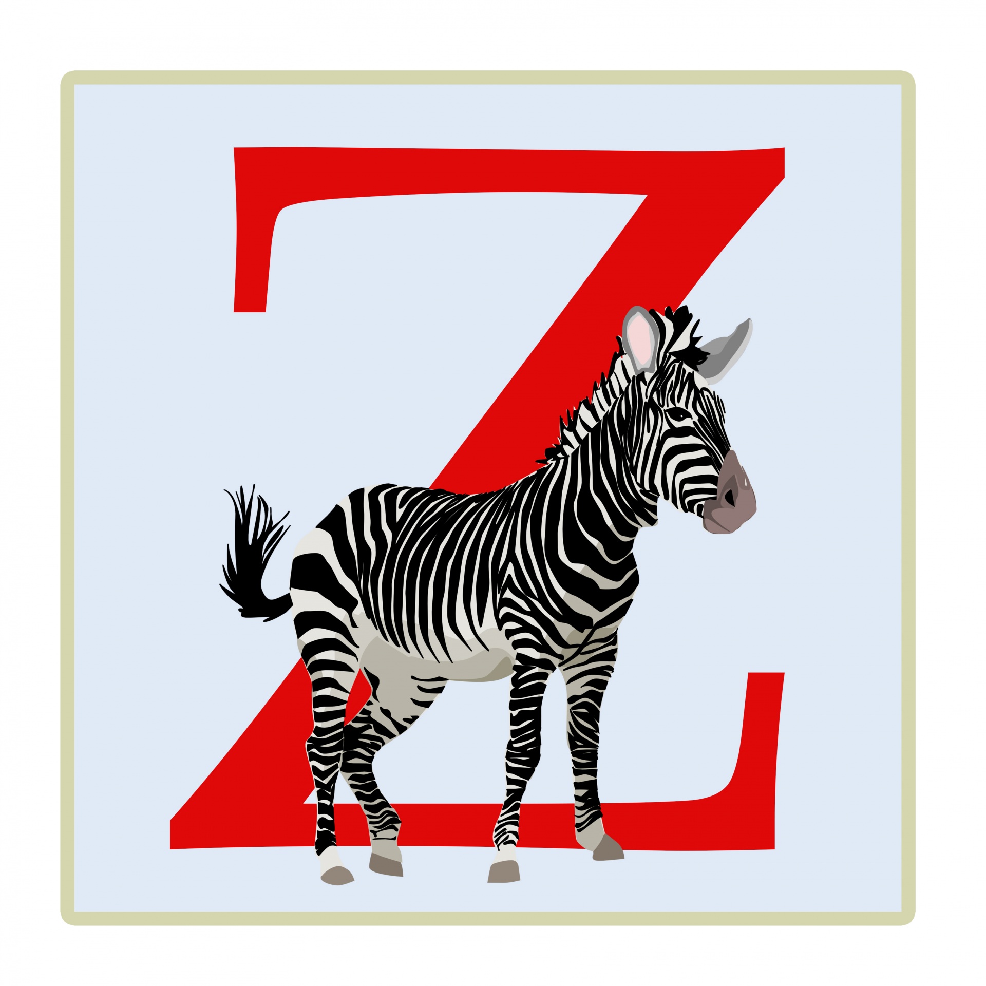 z letter zebra free photo