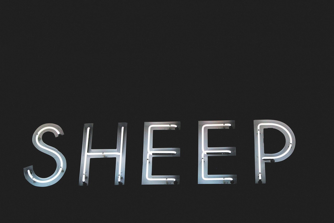 letters font sheep free photo