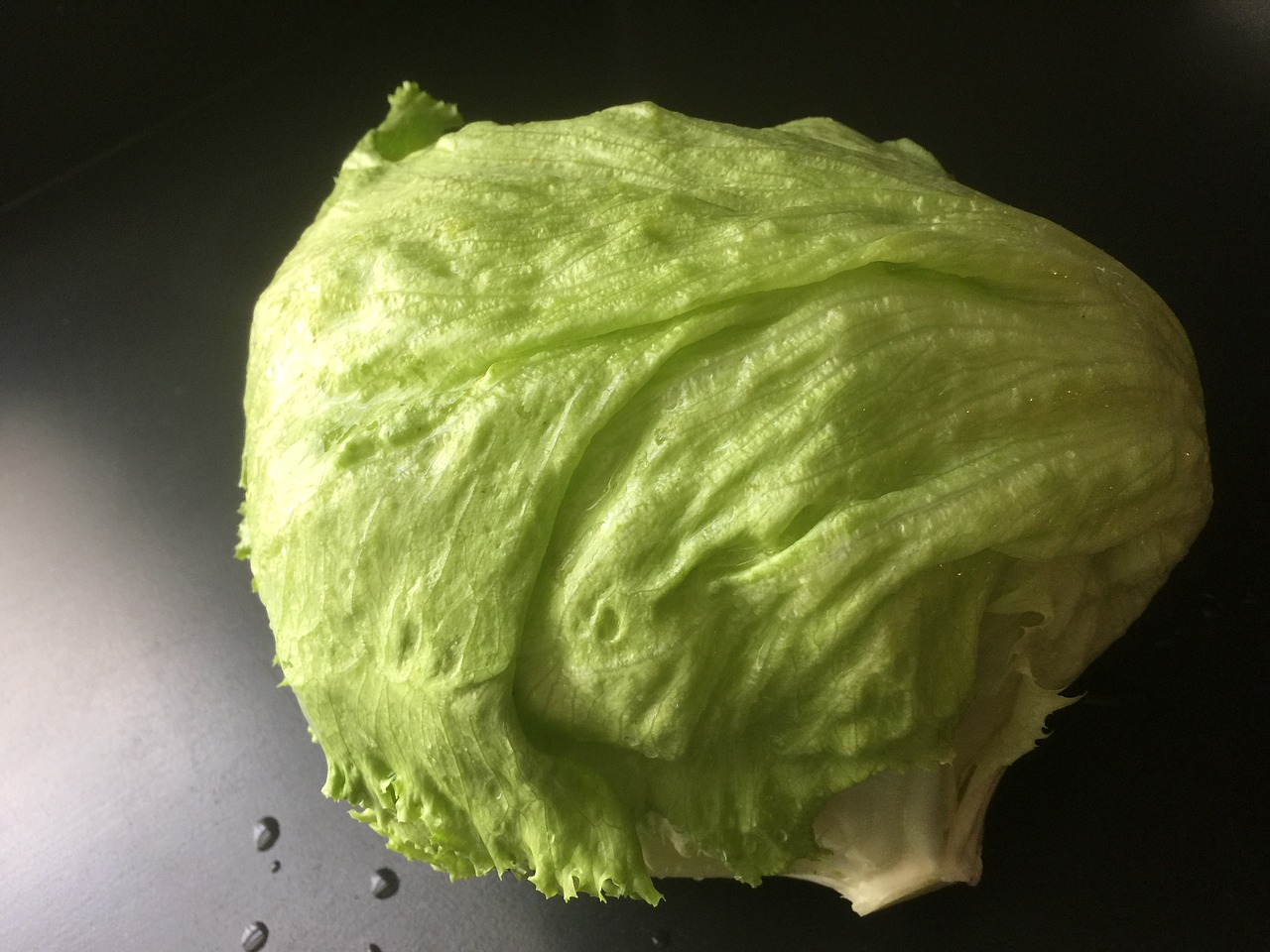 lettuce vegetable salad free photo