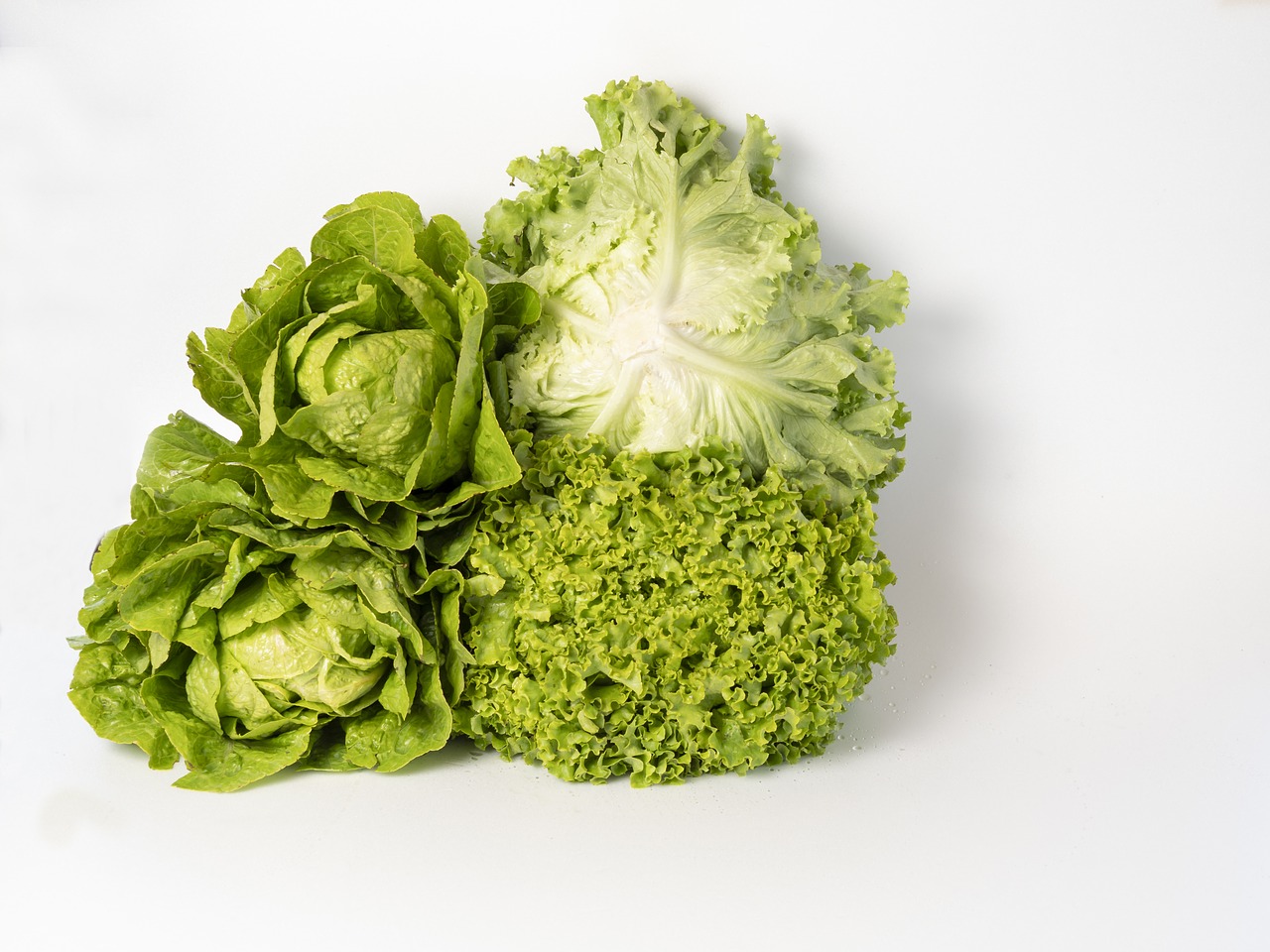 lettuce  varieties  health free photo
