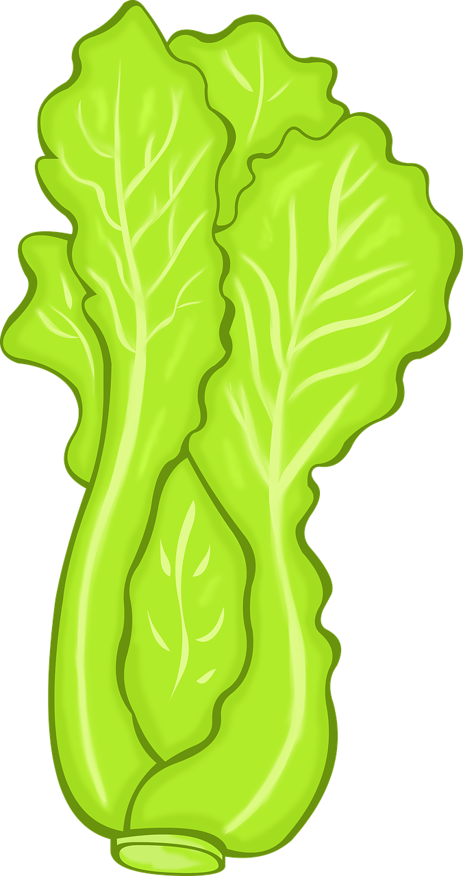 Image result for green leafy vegetables"