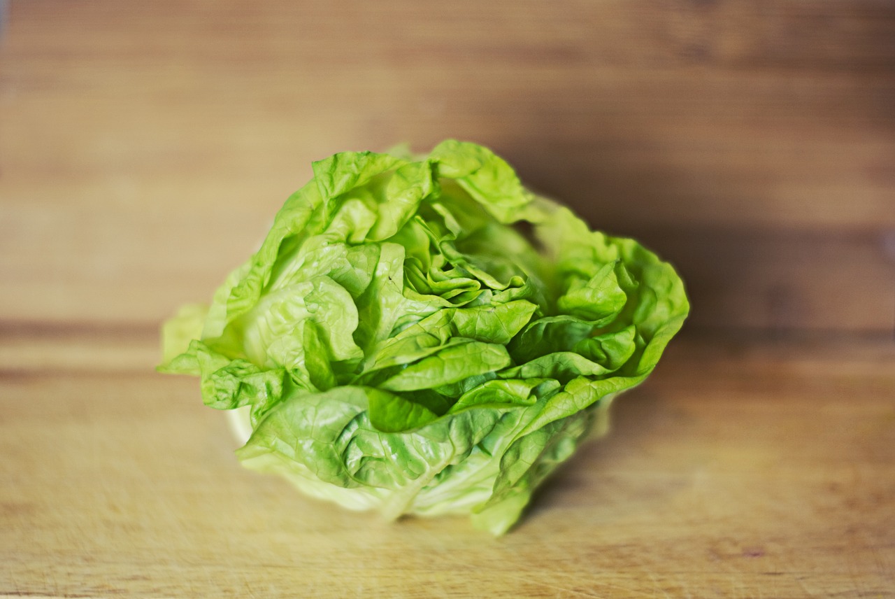 lettuce vegetable green free photo