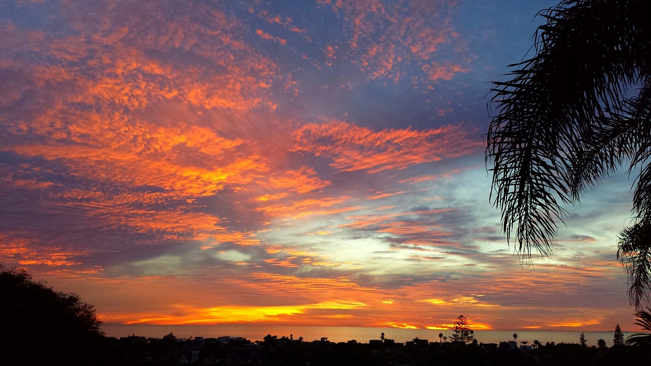 leucadia sunset palm free photo