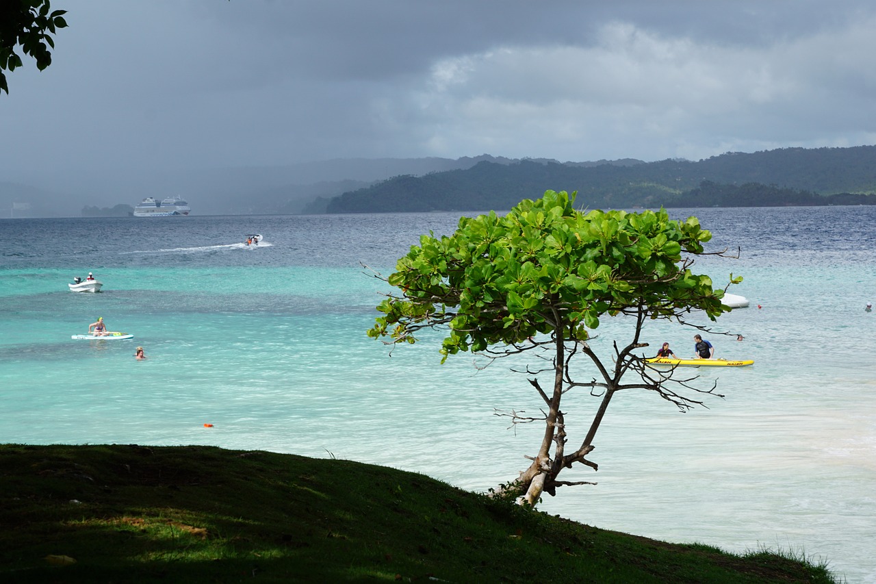 levantado island caribbean free photo