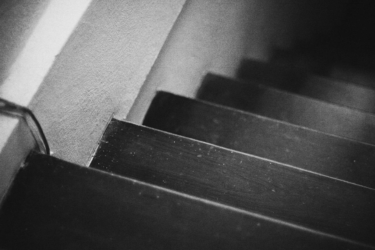 level down black and white free photo