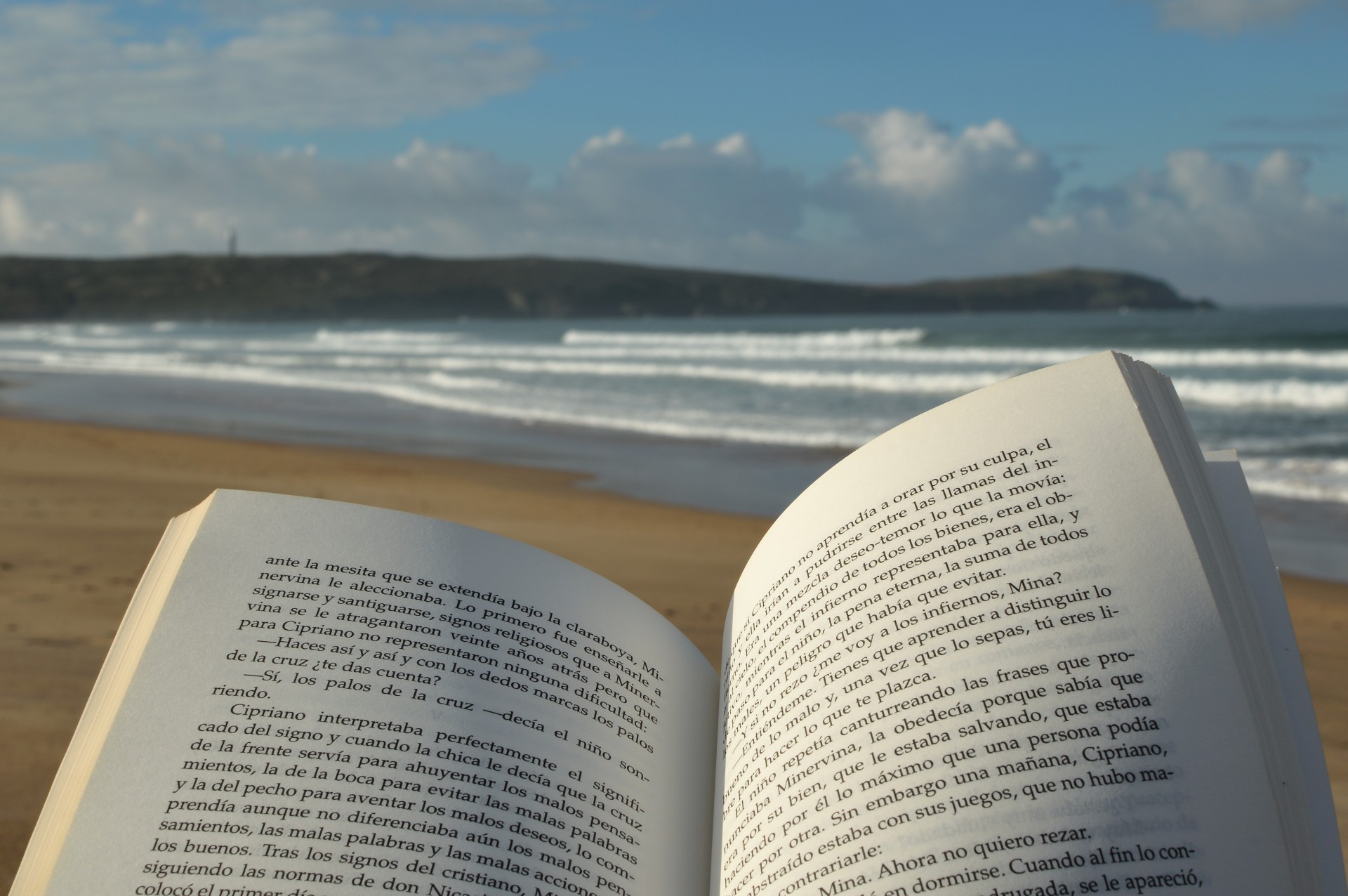 reading beach book free photo