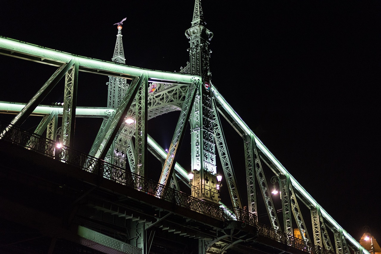 liberty bridge danube river free photo