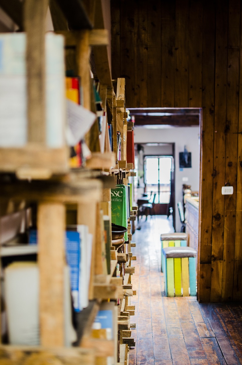 library shelves books free photo