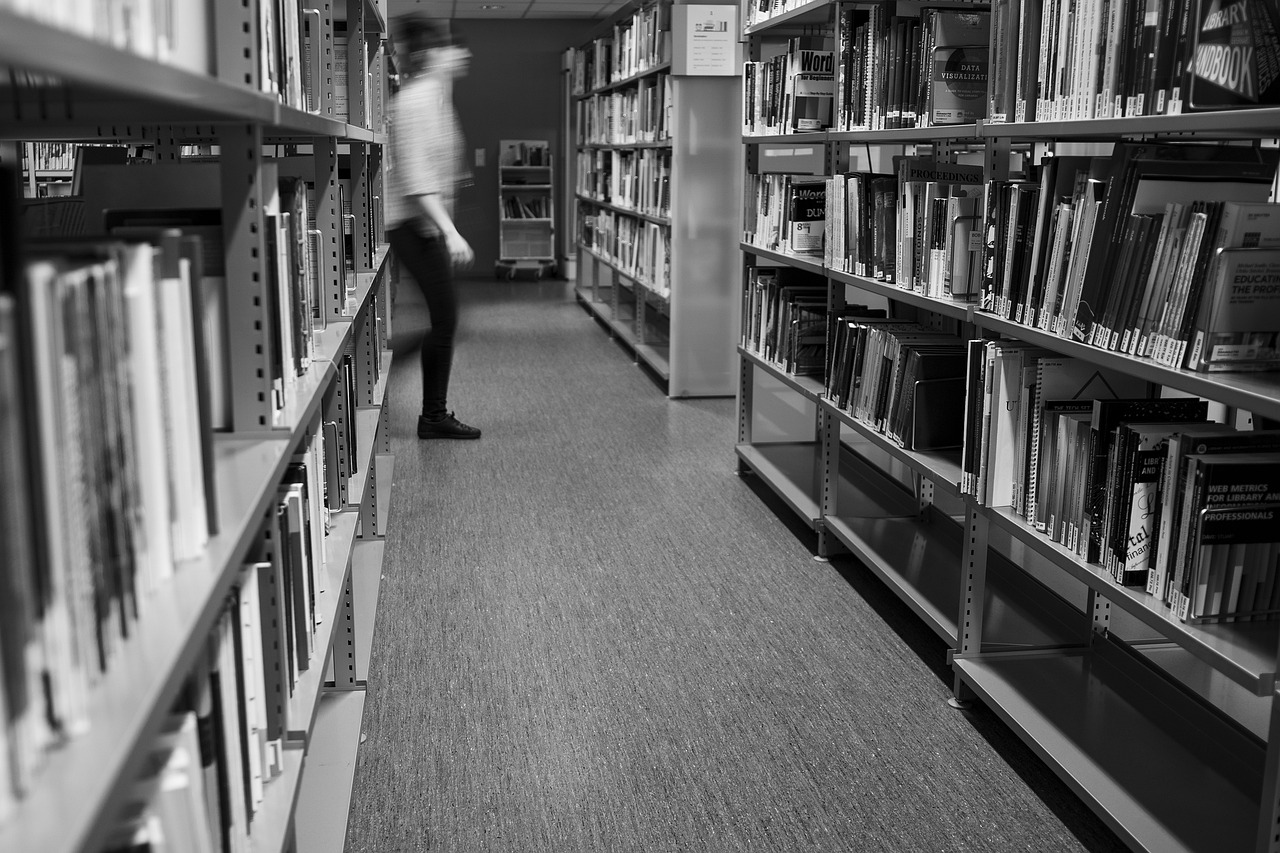library  study  university free photo