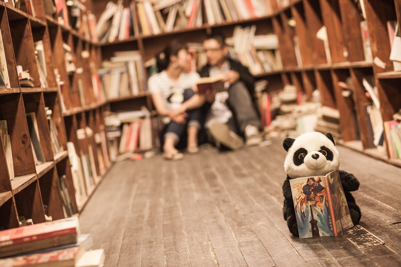 library couples panda free photo