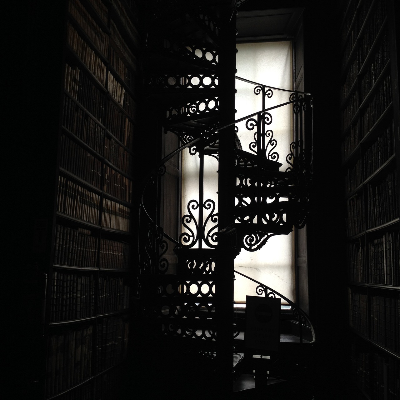 library stairs books free photo