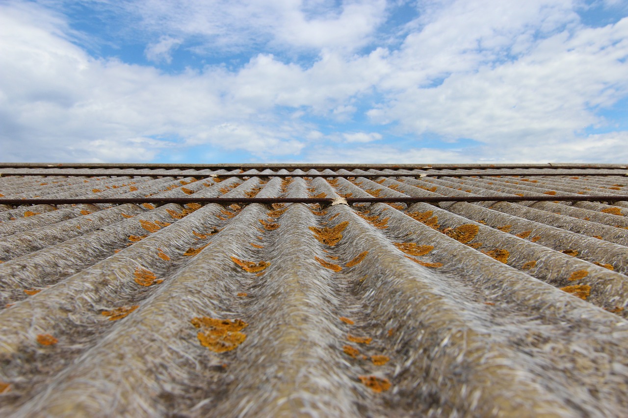 lichens roof sky free photo