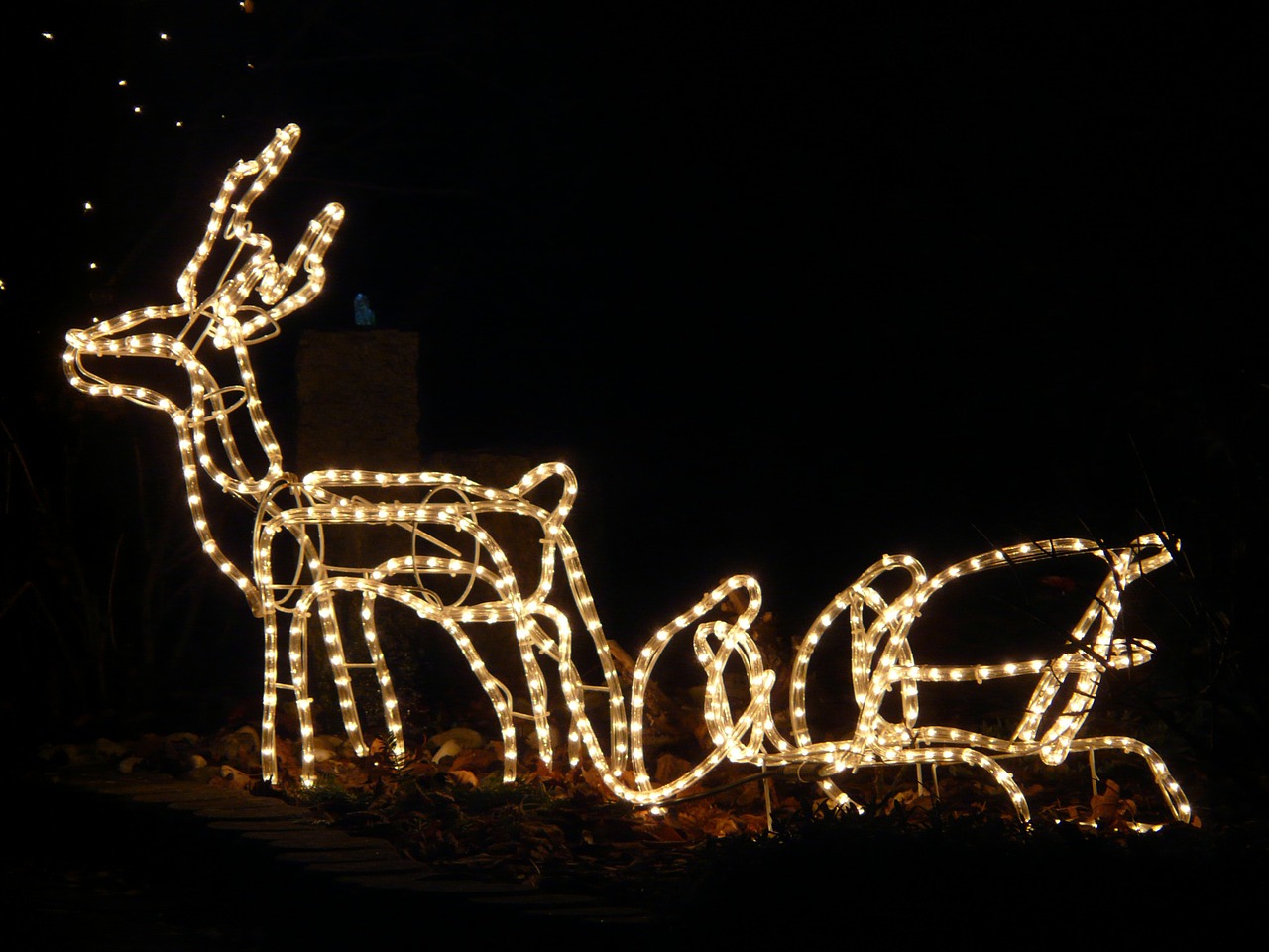 lichterkette christmas reindeer free photo