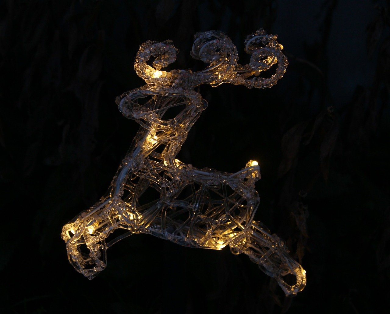 lichterkette reindeer christmas free photo