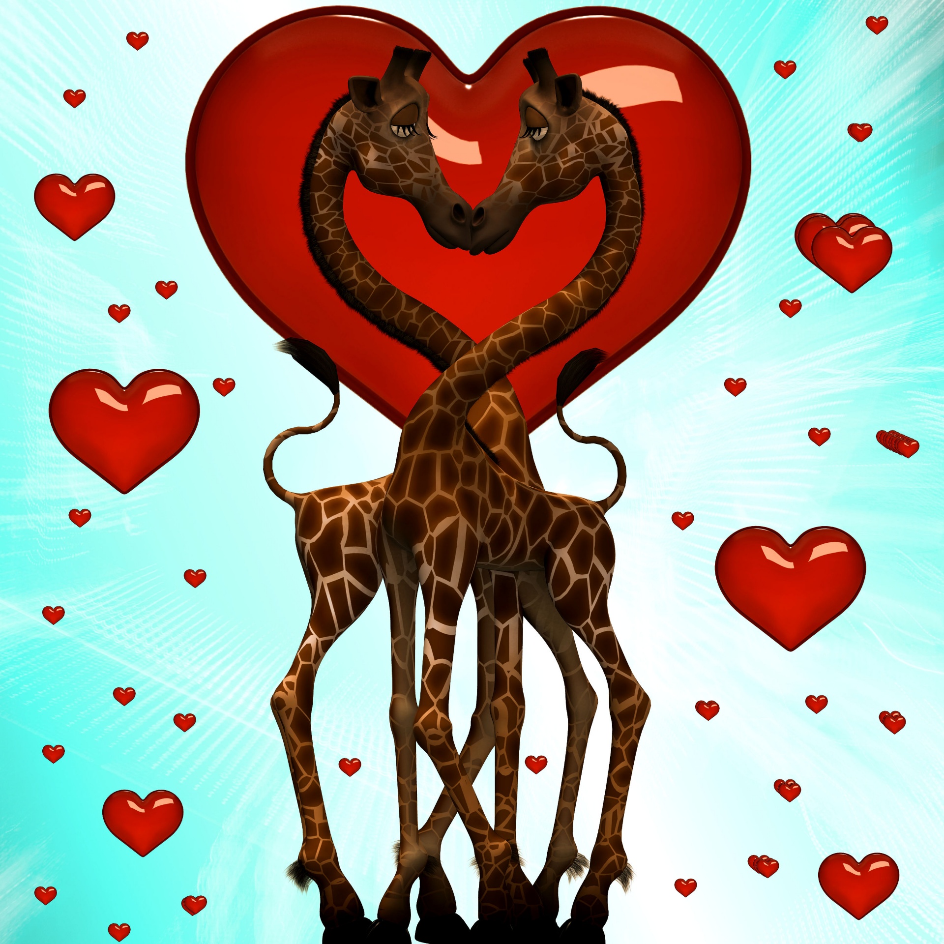 love heart giraffe free photo