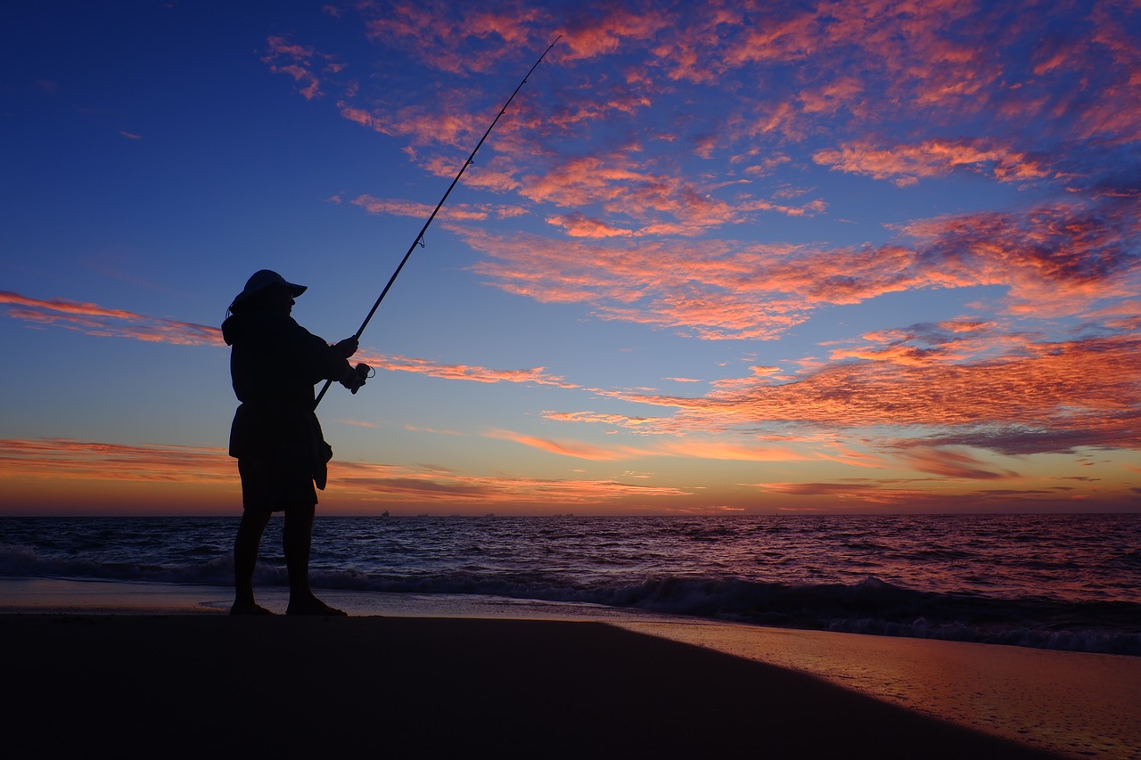 life fishing sea free photo