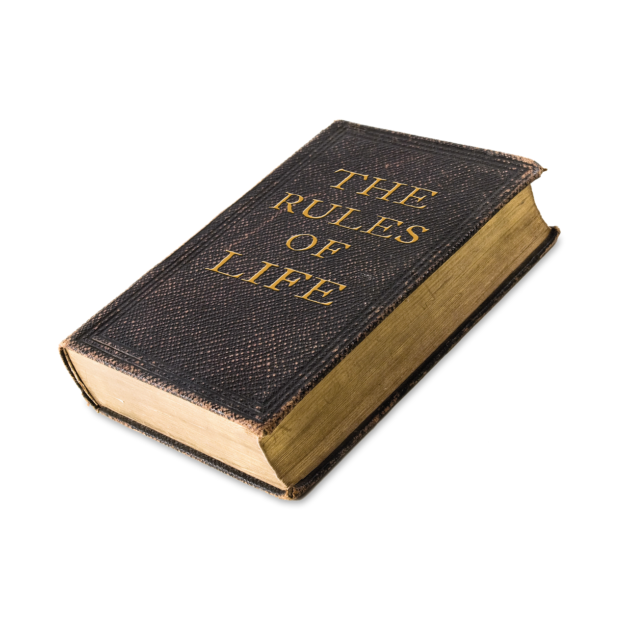 life rules book free photo