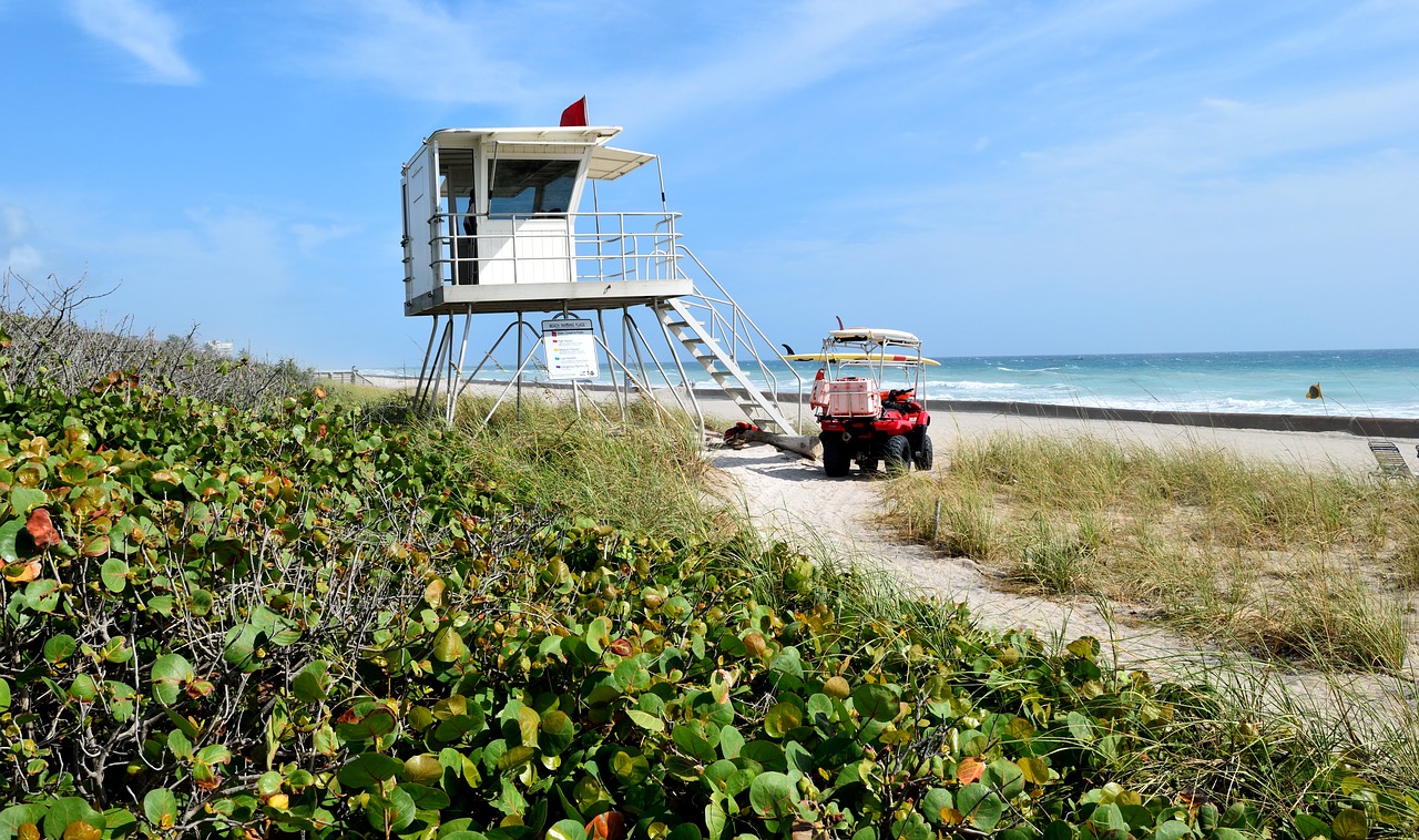 life guard stand  beach  safety free photo