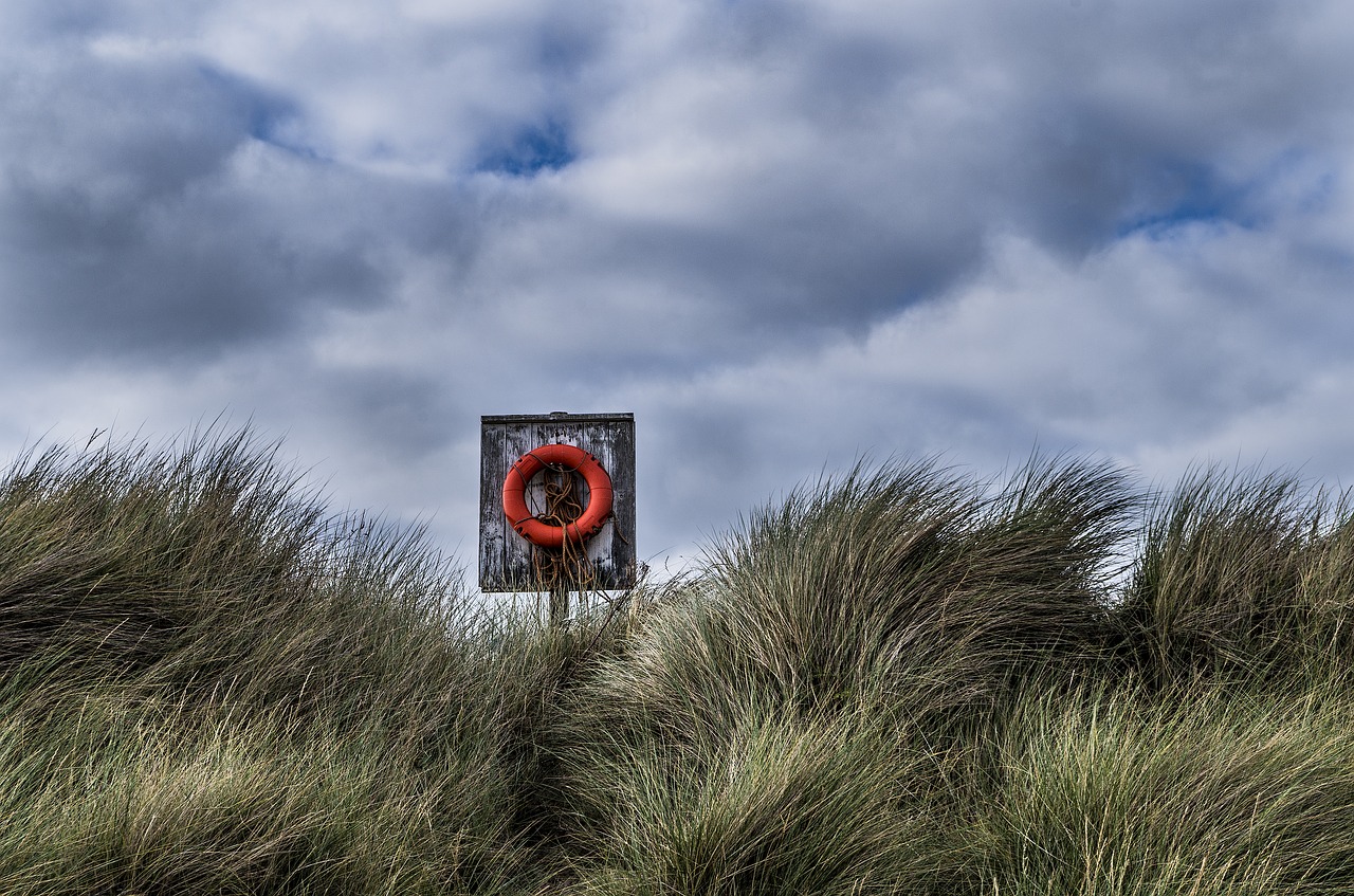 lifebelt  beach  sea free photo